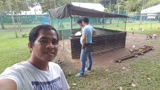 At Asf Gamefarm With Boss Doyet Lapido