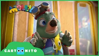 Moley Kağıt Molche Cartoonito Türkiye