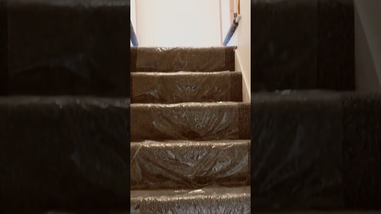 New carpets? Use this when you have viewings 🙌 