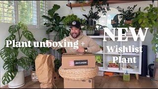 Unbox some plants with me + new WISHLIST plant