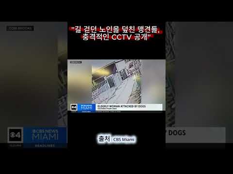 [해외토픽] 길 걷던 노인을 덮친 맹견들, 충격적인 CCTV 공개 #뉴스 #쇼츠 #news