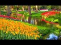 Relaxing music