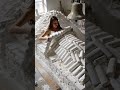 [ASMR] Cozy Under the Crunchy Slate Pencil Blanket 🪨✨