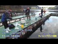 【釣り堀紹介】フィッシングランド日向（福井・日向湖）