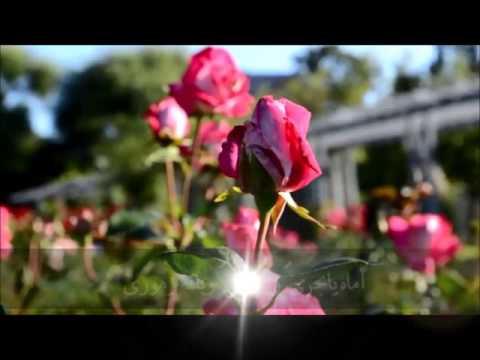 يا اكرم من هوى قلبي 