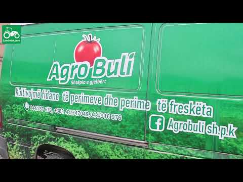 Video: Agroteknologjia E Specave Në Serrat E Filmave