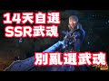 斗羅大陸 獵魂世界 14天自選SSR武魂 ALL所有武魂隊伍 全方面分析 你應該要自選哪個武魂 九星七殺劍 藍電霸王龍 邪火鳳凰 火龍 奇茸通天菊 月刃 火影 碧磷蛇皇 乾坤混元鎖 金羽貓鷹 小舞 斗羅大陸 獵魂世界 14天自選SSR武魂 ALL所有武魂隊伍 全方面分析 你應該要自選哪個武魂 九星七殺劍 藍電霸王龍 邪火鳳凰 火龍 奇茸通天菊 月刃 火影 碧磷蛇皇 乾坤混元鎖 金羽貓鷹 小舞