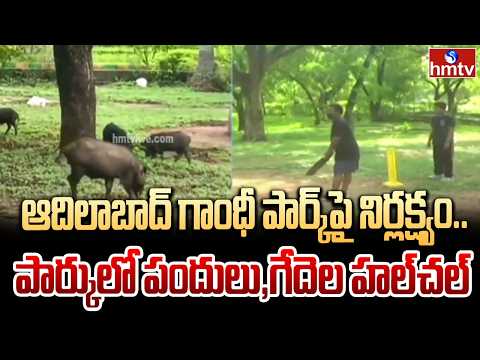 గాంధీ పార్క్ దుస్థితి వైరల్.. అధికారుల నిర్లక్ష్యంపై స్థానికుల ఆగ్రహం |  Gandhi Park in Adilabad | - HMTVNEWS