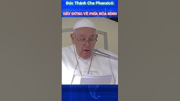 Đức Thánh Cha Phanxicô Kêu Gọi Hòa Bình Cho Palestine và Israel #shorts