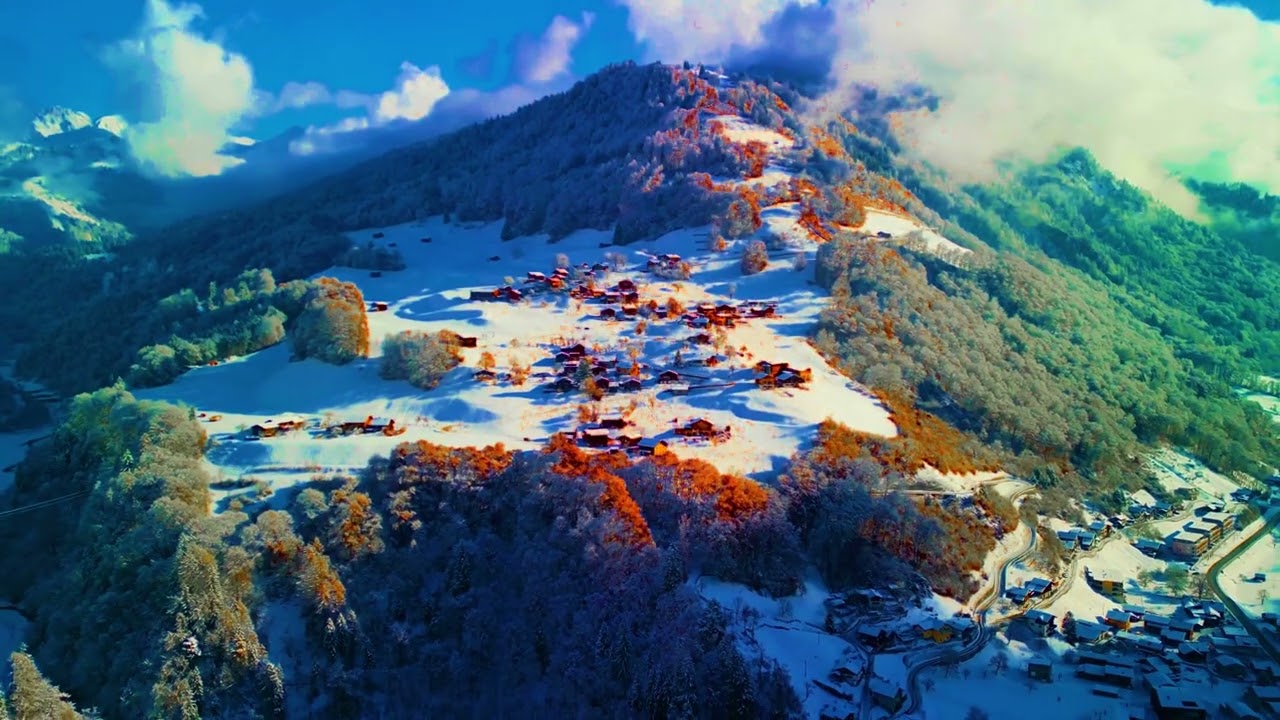 davinci coloring video