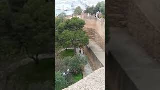 هم القوم لا يشقى بهم جليسهم .