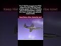 F-16/79: PROVEN Airframe. J79 Engine From F-4 Phantom. Made The Viper ACCESSIBLE.