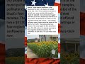 CITY FINES MAN $200 FOR ILLEGAL GARDEN, THEN HIRES HIM 🌻🏛️💚