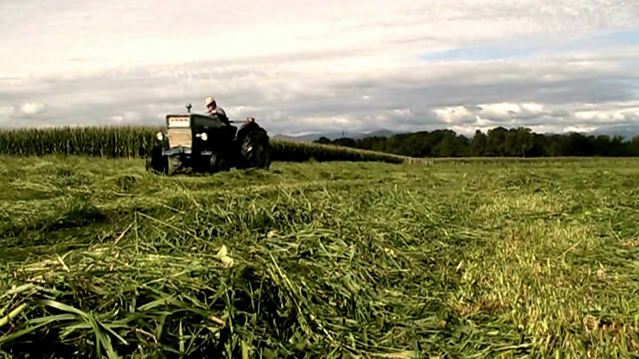Fienagione 2013 Haymaking YouTube