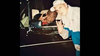 Mama Im A Criminal - Eminem And 2Pac
