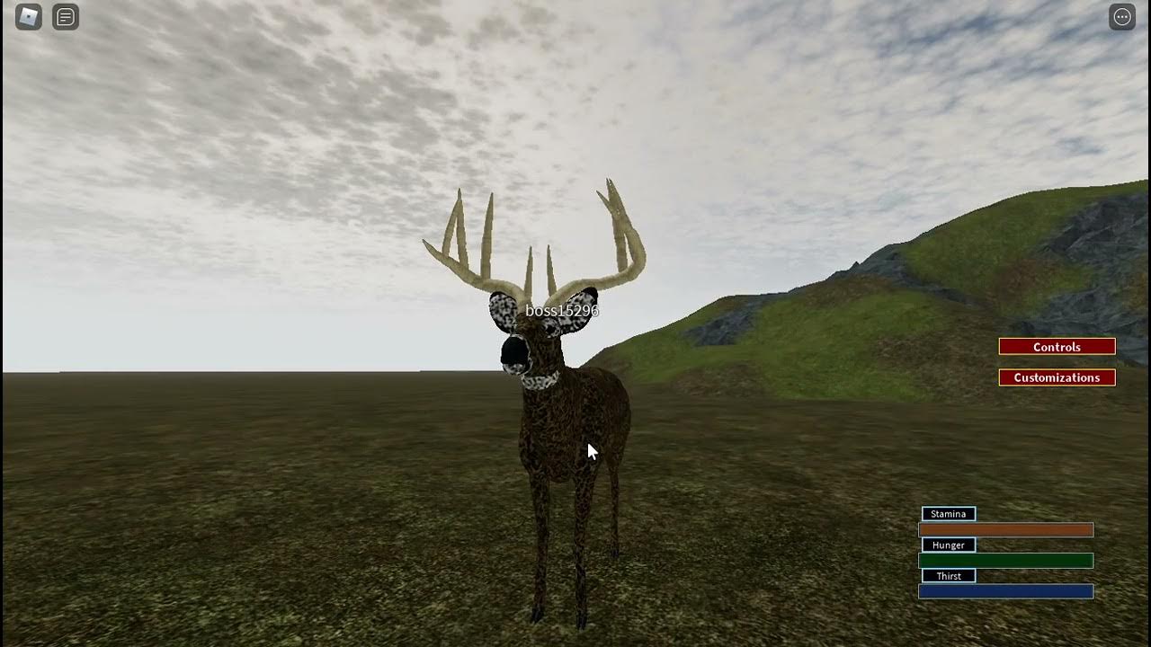 Playing as a white tailed deer ROBLOX (old) Wild Forest - YouTube