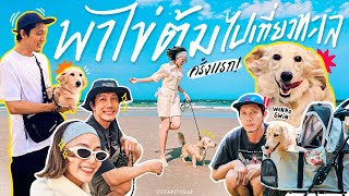 พาไข่ต้มไปเที่ยวทะเลครั้งแรก | ZuvapitSnap