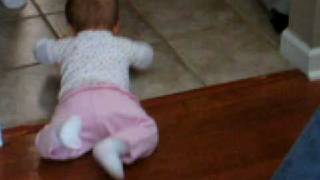Phoebe crawling