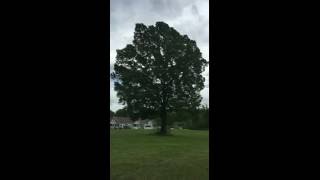 60 Second Breathing Exercise