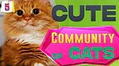 C_C_C