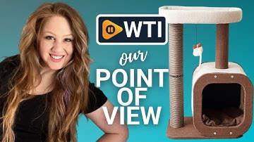 Catry Kitten Cat Tree Condos | Our Point Of View