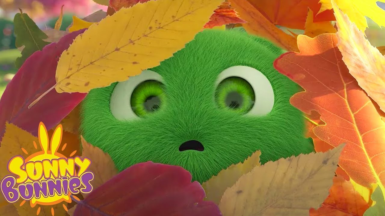 SUNNY BUNNIES COMPILATION - Hopper's Drone | Season 7 Hits | Cartoons For Kids