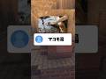 【ま】の予測変換で犬の世話をしてください! #あるある #マイクラ #コメント返し