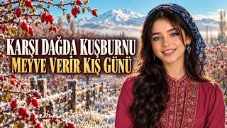 Hiç Ayrılık Olur Mu Zemheride Kış Günü? Karşı Dağda Kuşburnu