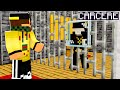 HO CATTURATO UN CACCIATORE DI VAMPIRI NELLA BIG VANILLA! - Minecraft ITA