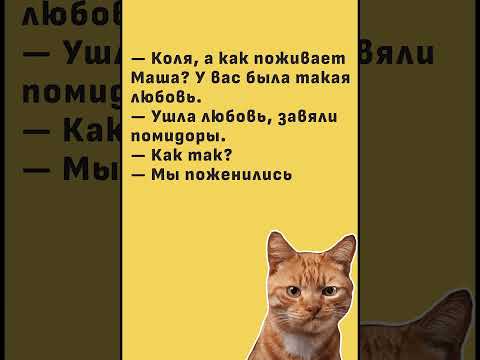 #юмор #анекдоты