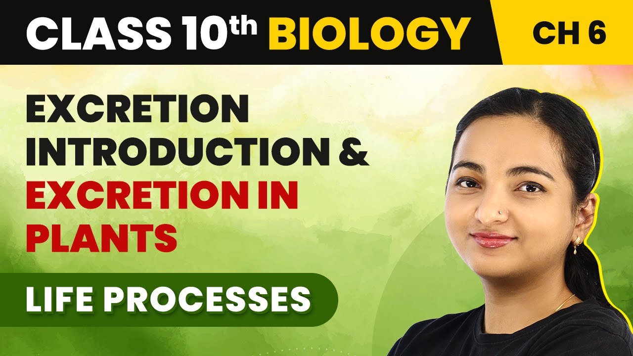 Class 10 Biology Ch 6 | Introduction to Excretion and Excretion in Plants - Life Processes