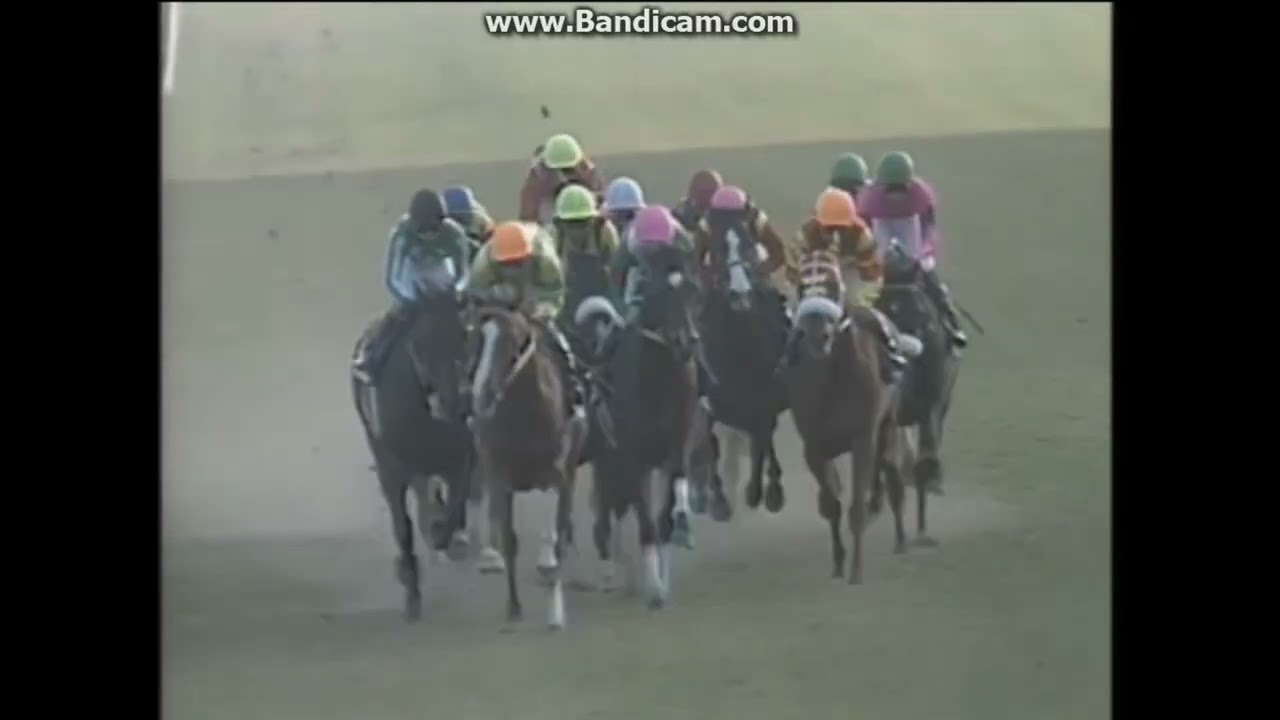1995 有馬記念 (GⅠ) マヤノトップガン - YouTube