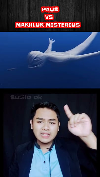 Paus raksasa VS makhluk misterius.?? #shorts #pausraksasa