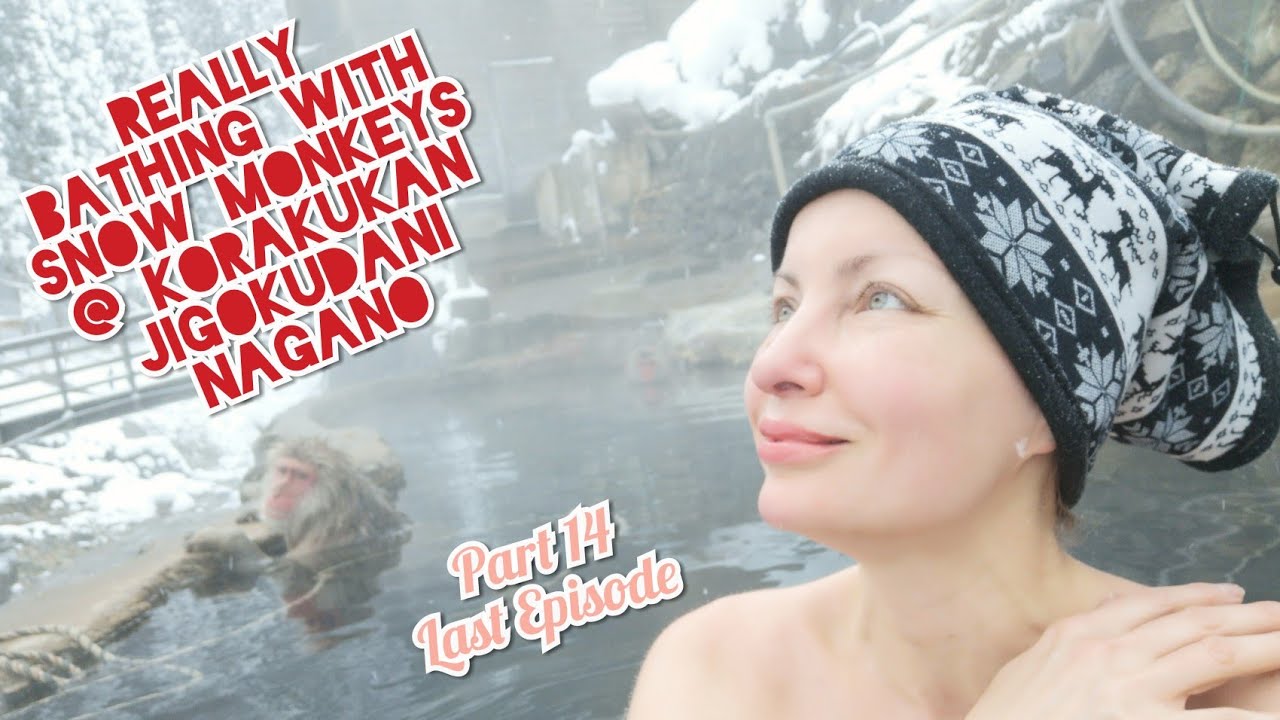 COOL Adeyto😜🐒 REALLY BATHING with SNOW MONKEYS Korakukan ♨️ JIGOKUDANI NAGANO 📽️ Huawei P20 PRO