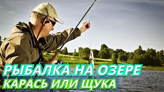 РЫБАЛКА НА ОЗЕРЕ / СПИНИНГ И УДОЧКА / КАРАСЬ ИЛИ ЩУКА