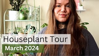 My UK HOUSEPLANT Collection TOUR March 2024