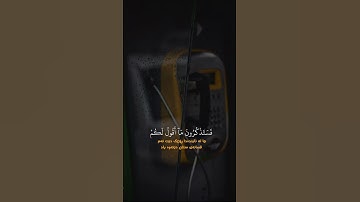 فستذكرون ما اقول لكم | أجمل تلاوة للقرآن الكريم تهز القلوب | استمع الآن