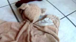 Kid-Friendly Brown-Pack Product Review