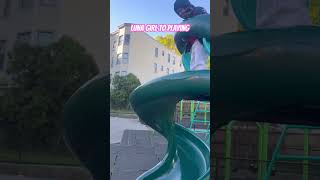 #dog#dogplaying#playground