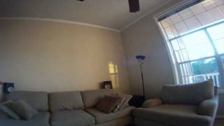 Paradigm home theater setup