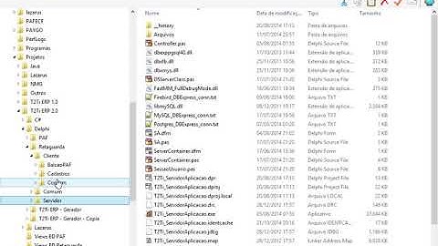 T2Ti ERP 2 0   Delphi   Cadastros Base   10 Servidor