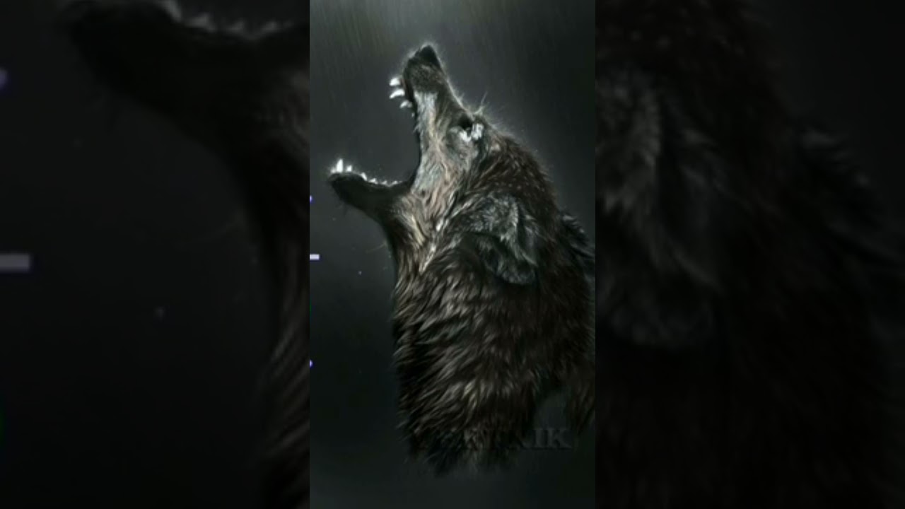 Famous Turkish Attitude Ringtone 