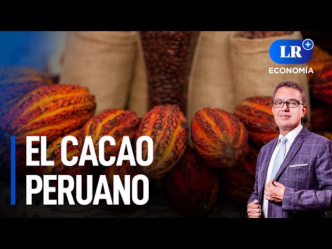 El cacao peruano: La clave para mejorar y acelerar la rentabilidad económica | LR+ Economía