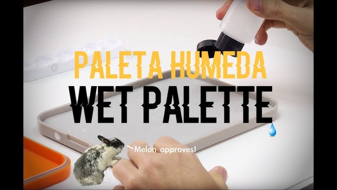  ePiiChua Paleta húmeda de 2 capas para miniaturas, paletas  húmedas apilables para pintar, paleta de permanencia húmeda para pintura  acrílica. Paleta de pintura con 50 paletas de papel húmedo y 3esponjas