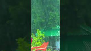 Beauty Of Rain In Malam Jaba #nature #trending #rain #shorts