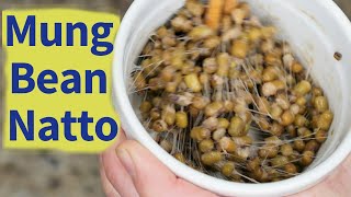 How to Make Mung Bean Natto (Soy-Free) in an Instantpot!