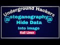 Master Steganography on Kali Linux 2017.1: Hide Data in Images Easily 📸