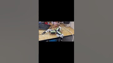 Orient - Inverse Kinematics | #maths  #robot #inversekinematics #python #engineering #control #pi