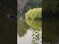 Nature's Vibes#ytshorts#nature#flowers#lake#risingsun#trending#viral