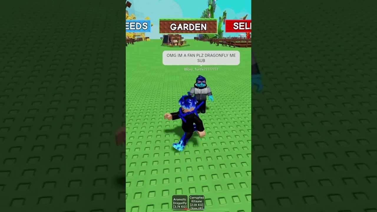 I Gave A Subscriber Free Dragonfly 